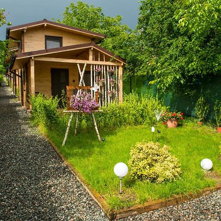 Zenyt Home Turda Extérieur photo